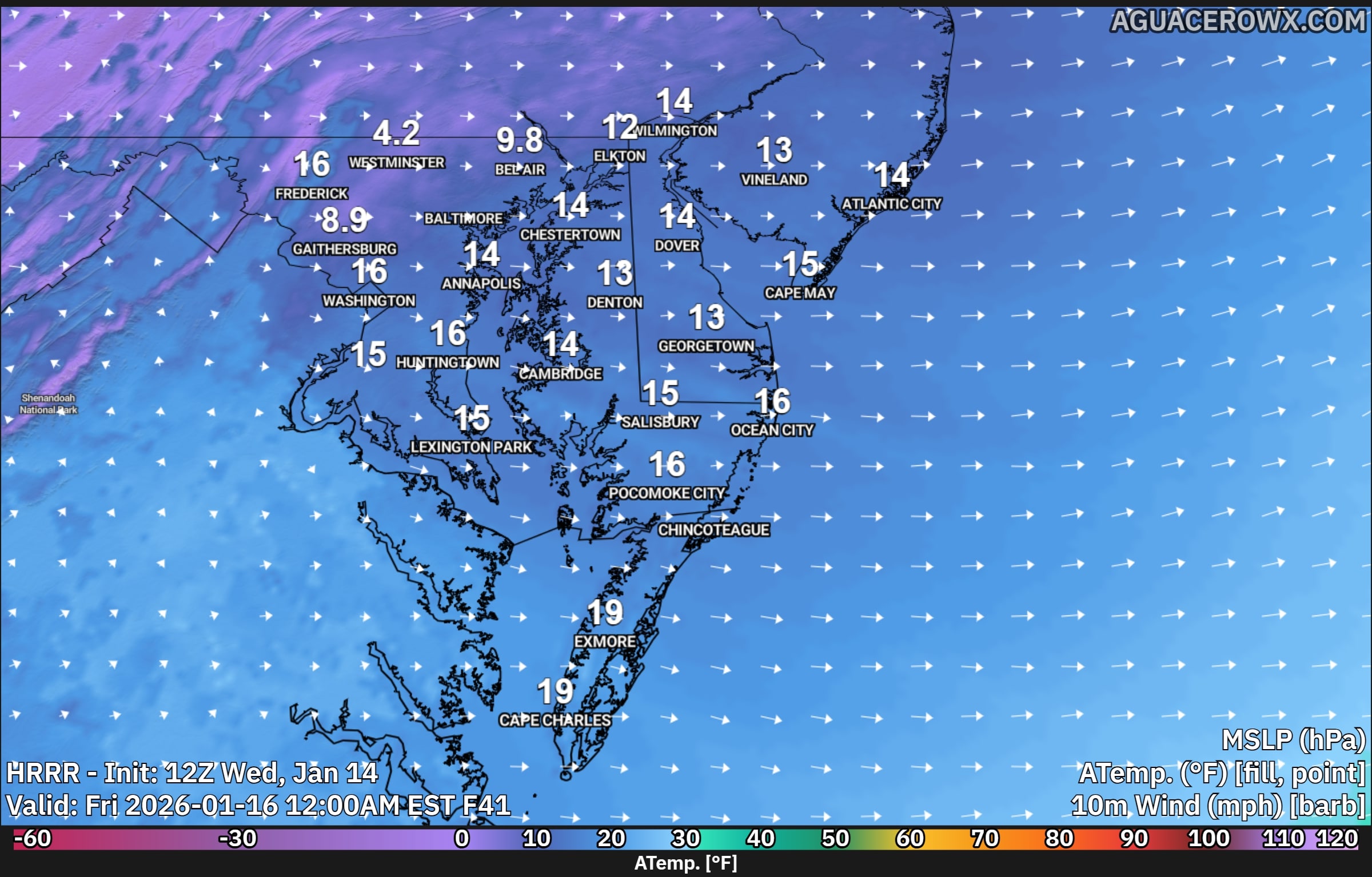 Bitter Cold Wind Chills To Finish Out The Work Week