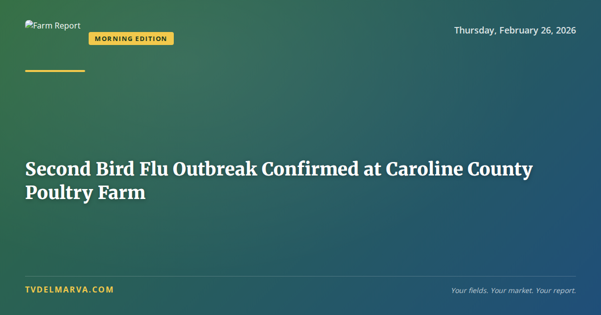 Second Bird Flu Outbreak Confirmed at Caroline County Poultry Farm