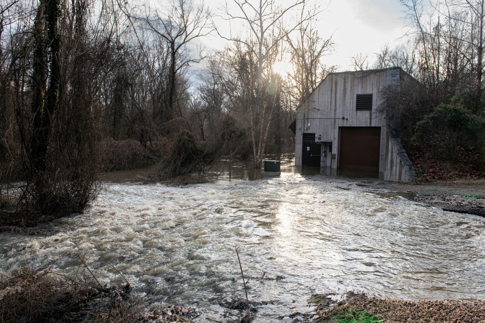 President Trump Clashes with Maryland Governor Over Potomac Sewage Crisis