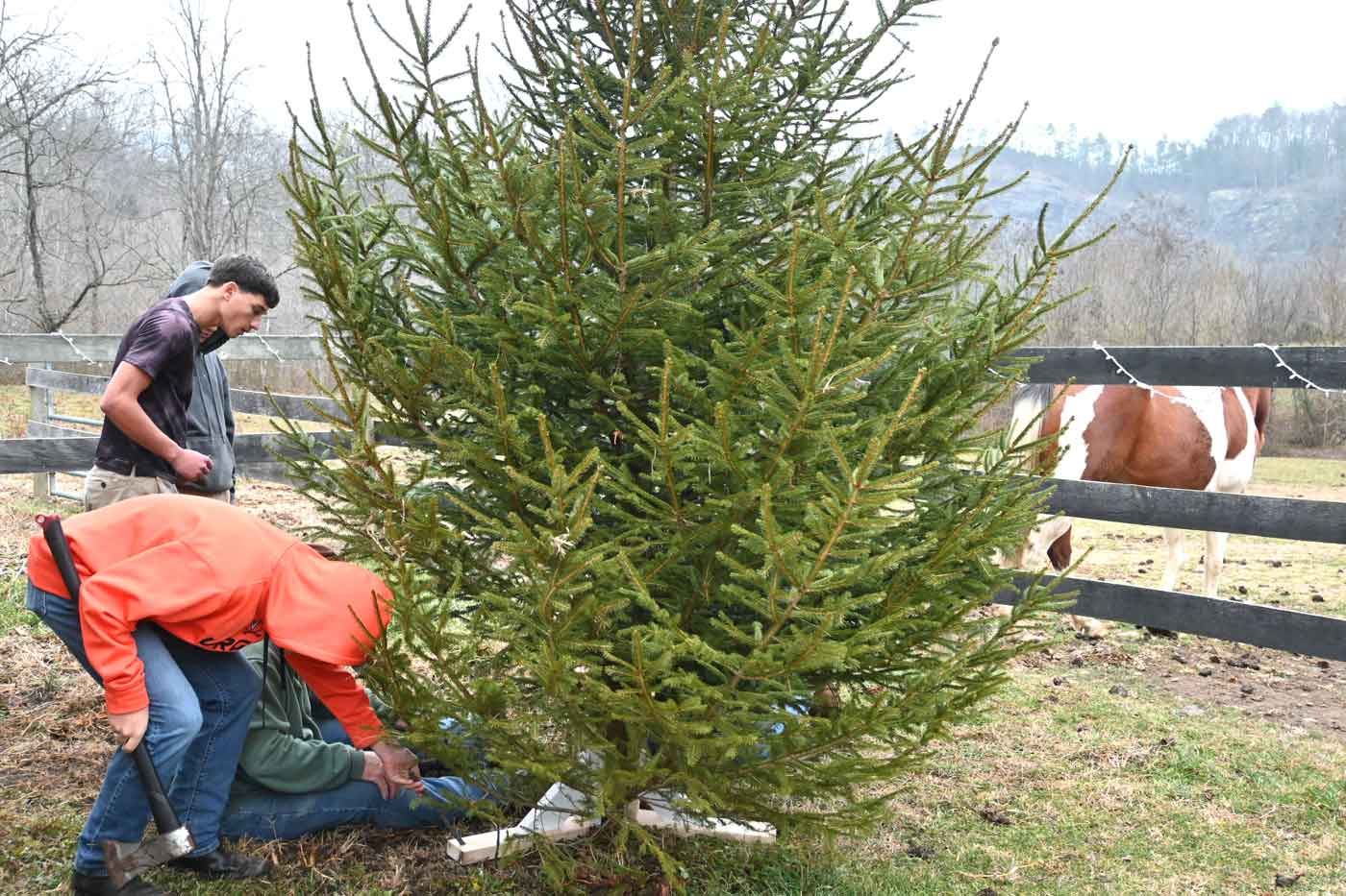 Virginia Agricultural Programs Help Vulnerable Youth and Adults Build Life Skills