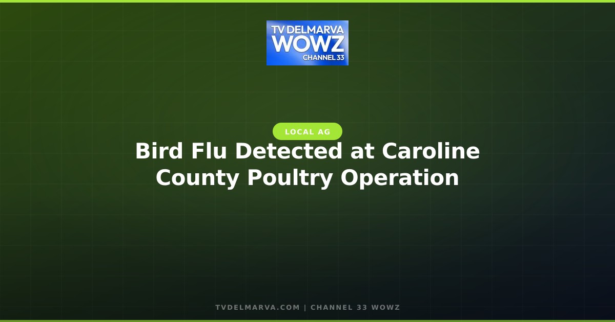 Bird Flu Detected at Caroline County Poultry Operation