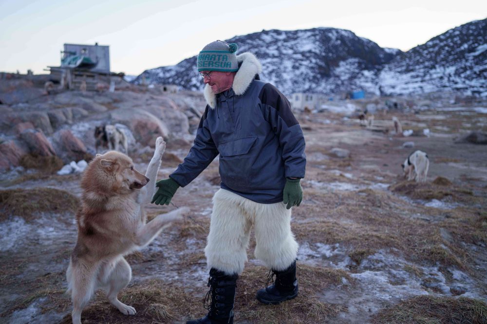 Greenland Dog Sled Champion Watches Culture Vanish as Warming Climate Melts Ice