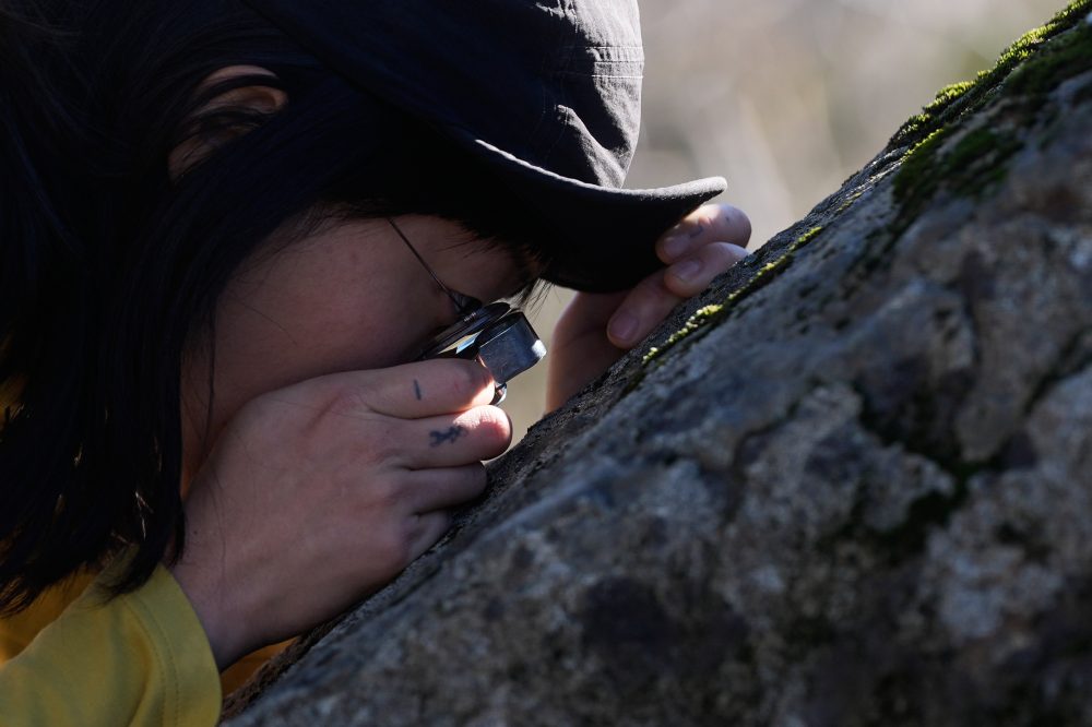 Scientists Rally to Protect Earth’s Hidden Fungi Kingdom Before It’s Too Late