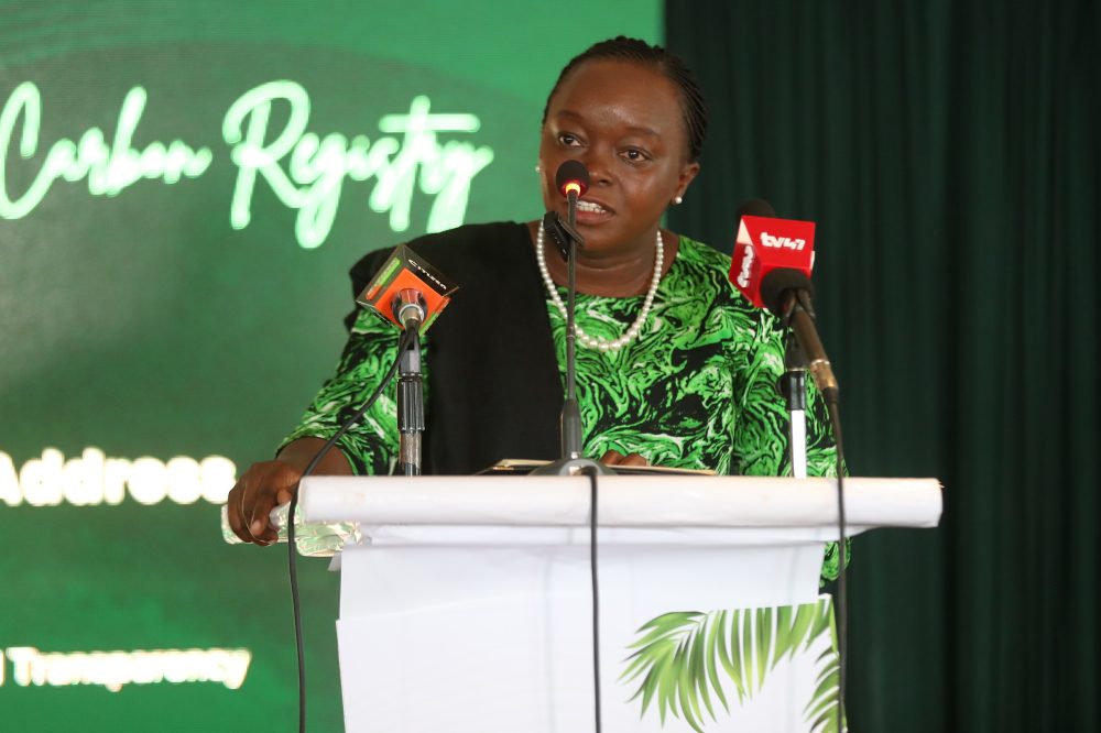 Kenya Establishes National Carbon Credit Registry to Combat Climate Change