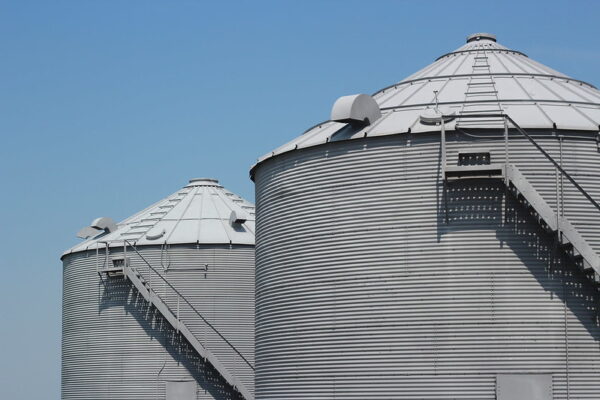 Farm Expert Warns Against Neglecting Grain Storage Safety