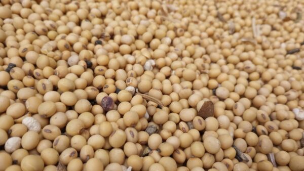 Delaware Farmers Face Income Drop Despite Government Financial Support
