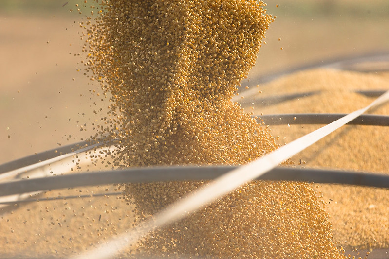 Top Executive Steps Down from United Soybean Board Leadership Position