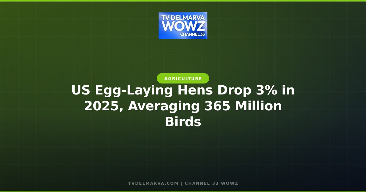 US Egg-Laying Hens Drop 3% in 2025, Averaging 365 Million Birds