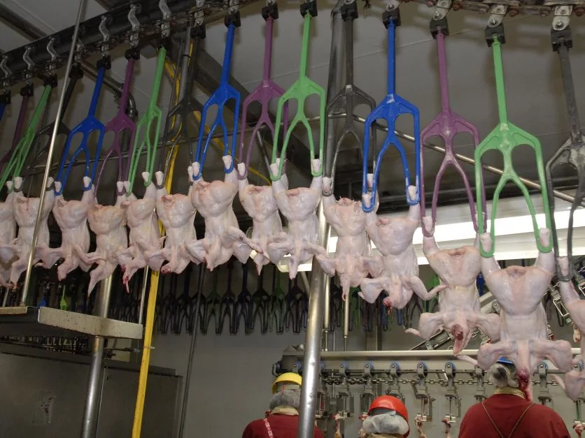 Federal Agency Eyes Faster Processing Speeds for Meat, Poultry Plants