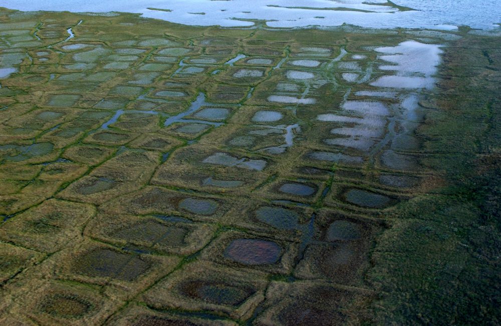 Environmental Groups Sue to Block Alaska Oil Drilling Lease Sale