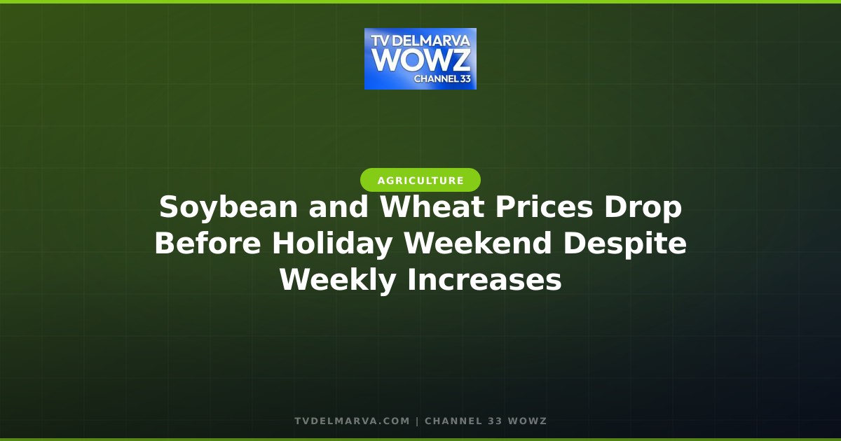 Soybean and Wheat Prices Drop Before Holiday Weekend Despite Weekly Increases