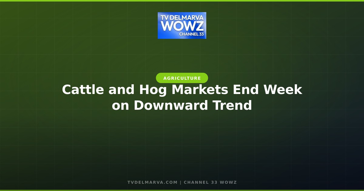 Cattle and Hog Markets End Week on Downward Trend