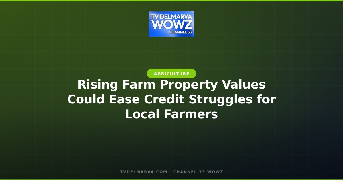 Rising Farm Property Values Could Ease Credit Struggles for Local Farmers