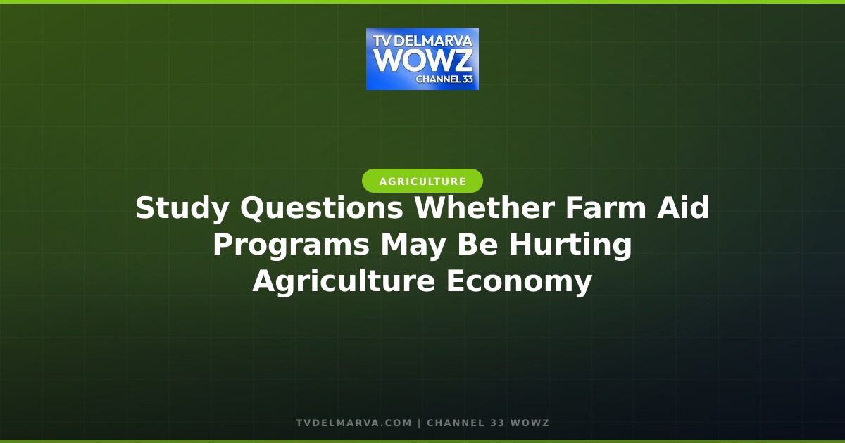 Study Questions Whether Farm Aid Programs May Be Hurting Agriculture Economy