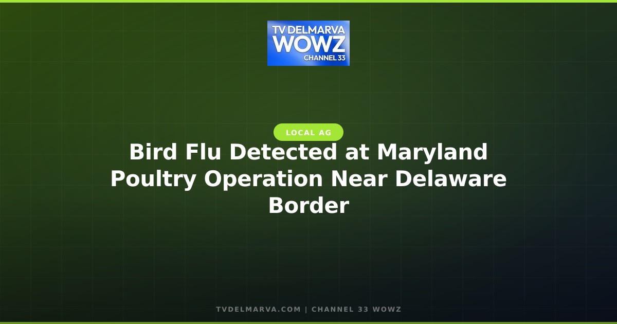 Bird Flu Detected at Maryland Poultry Operation Near Delaware Border
