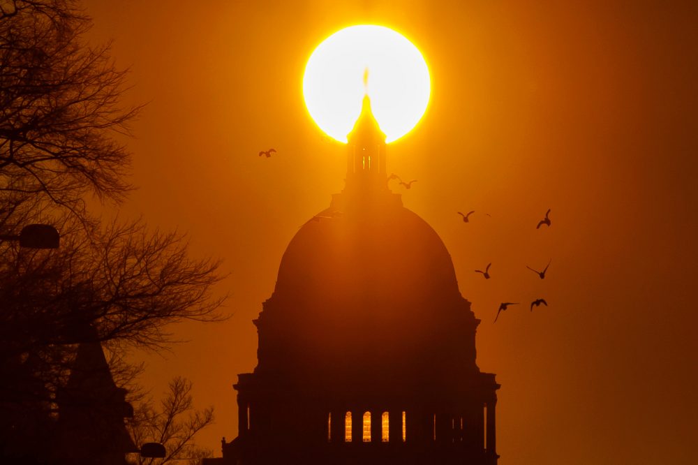 New Poll Shows Democrats Losing Faith in Their Own Party After Trump Win