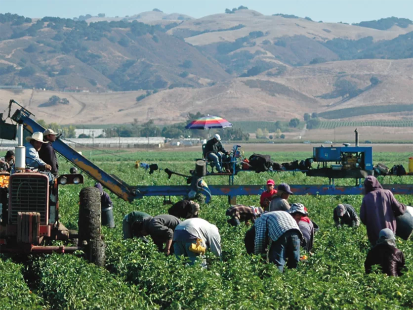 Administrative Delays Block Farm Workers Despite Streamlined H-2A Rules
