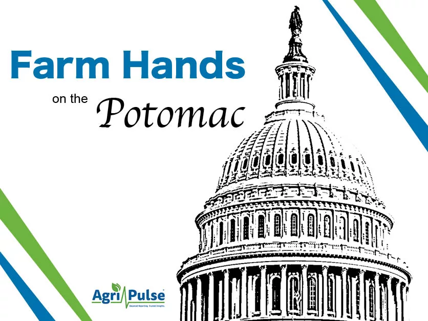 Pet Food Industry Gets New Leader as Fennig Takes Top Role