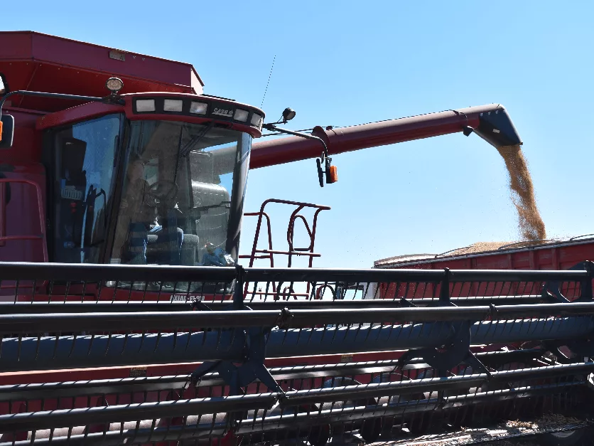 Million-Dollar Family Farms Drive Half of America’s Agricultural Output