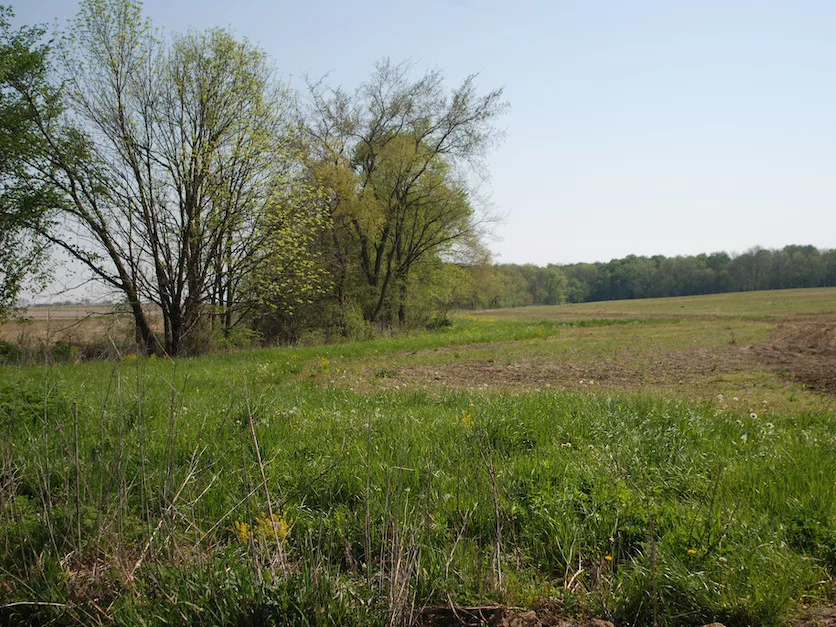 Farm Conservation Program Expected to Draw More Interest Amid Economic Struggles