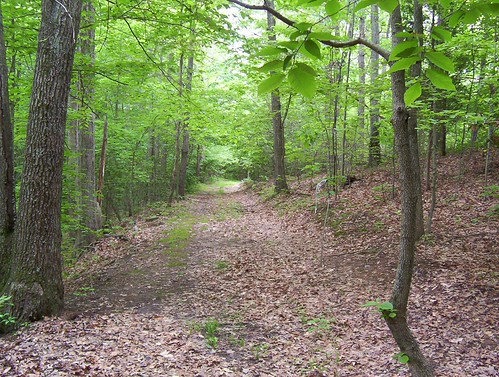Maryland Approves $7.1M for Recreation Centers and Land Conservation