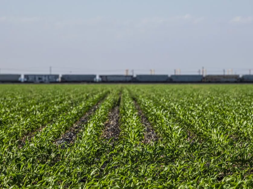 Agricultural Groups Slam Refiners Over E15 Fuel Dispute