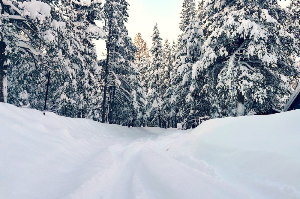 California Avalanche Traps 15 Skiers on Guided Backcountry Tour; 9 Still Missing