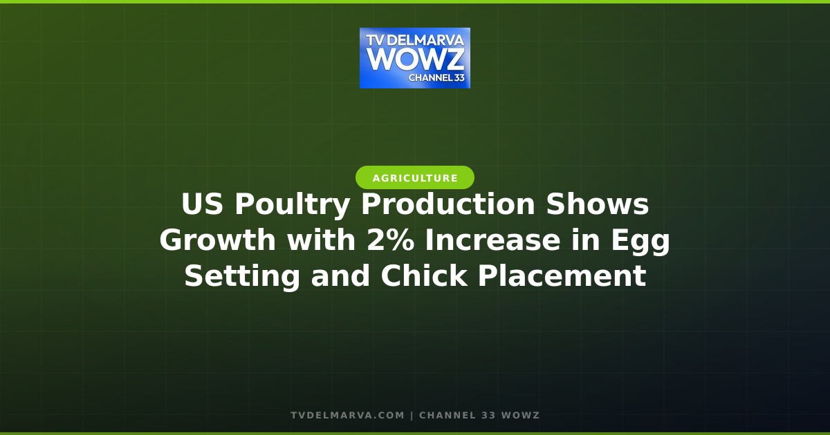 US Poultry Production Shows Growth with 2% Increase in Egg Setting and Chick Placement