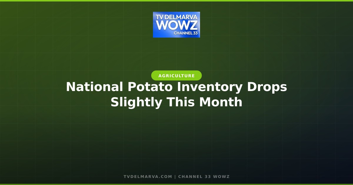 National Potato Inventory Drops Slightly This Month