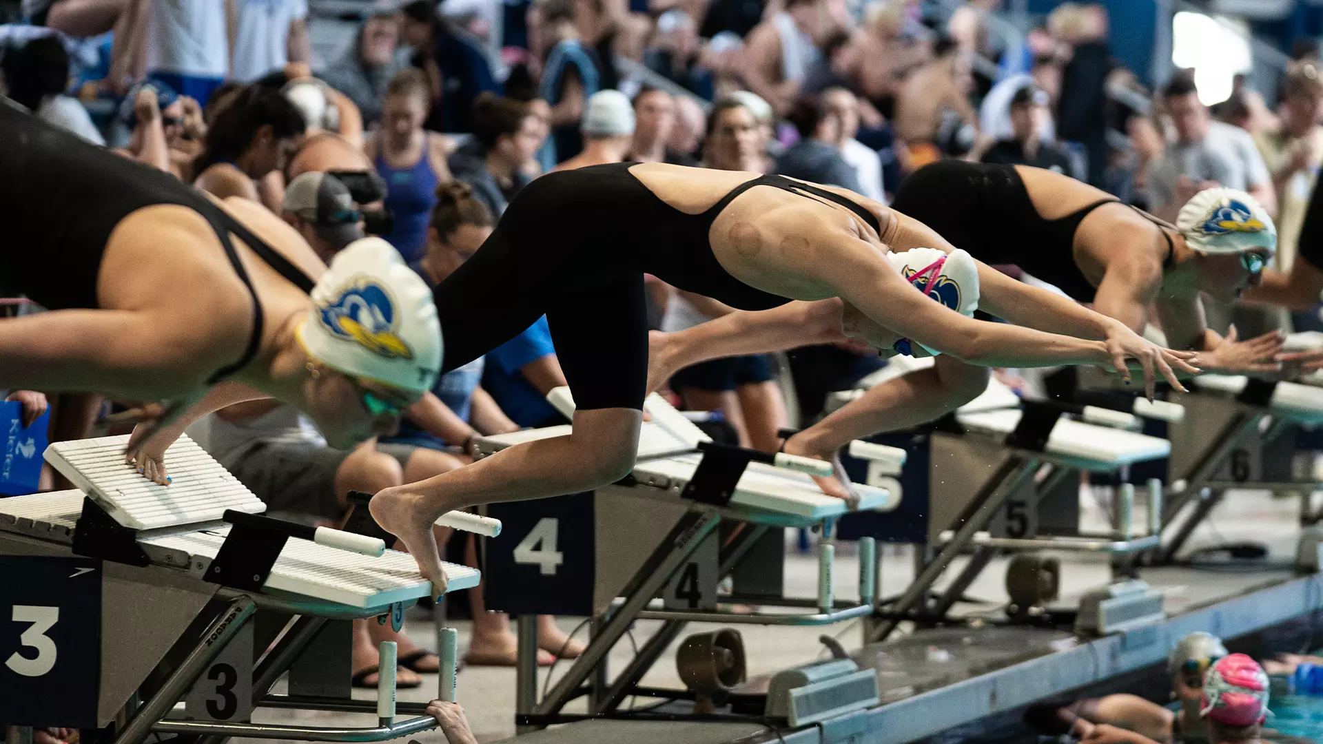 Delaware Blue Hens Swimming Team Sits in Second After Opening Day of Conference Meet