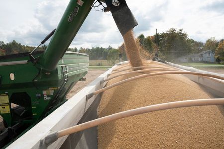 Delaware Farmers Expected to Plant More Soybeans, Less Corn in 2026