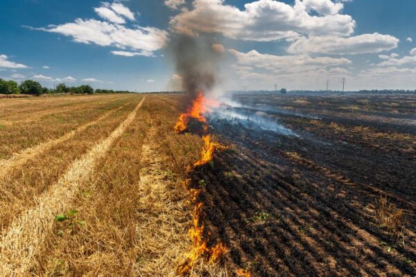 Central Plains Wildfires Cause Extensive Damage in Kansas, Oklahoma