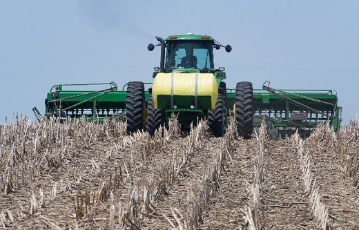 U.S. Farmers Expected to Plant More Soybeans in 2026 Despite Tight Margins