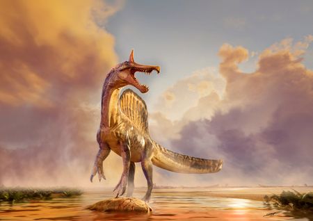 Scientists Make Massive Dinosaur Discovery After Epic Sahara Desert Journey
