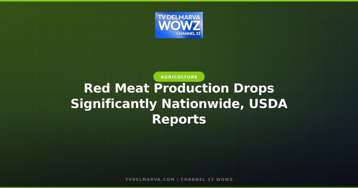 Red Meat Production Drops Significantly Nationwide, USDA Reports