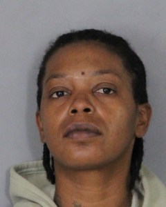 Wilmington Woman Faces Felony Charges in Newark Shoplifting Spree
