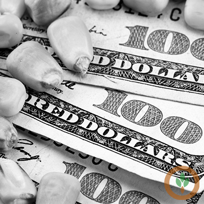 Agricultural Futures Show Mixed Results in Wednesday Trading Session