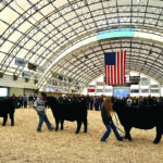 Virginia Farm Family Hosts Growing Livestock Competition for Regional Youth
