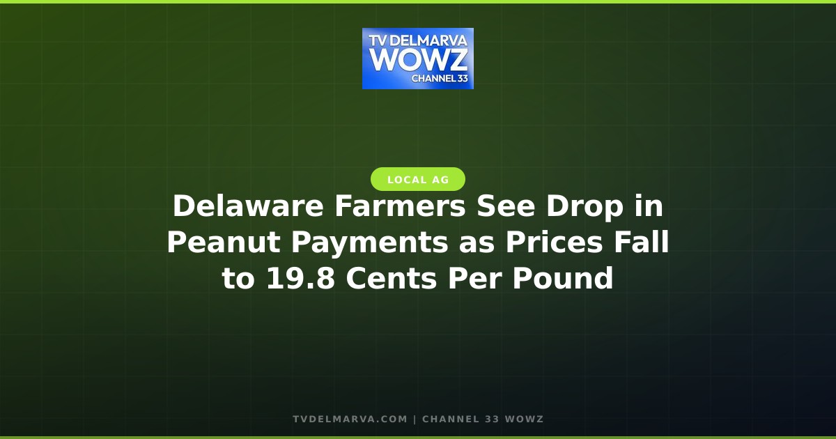 Delaware Farmers See Drop in Peanut Payments as Prices Fall to 19.8 Cents Per Pound