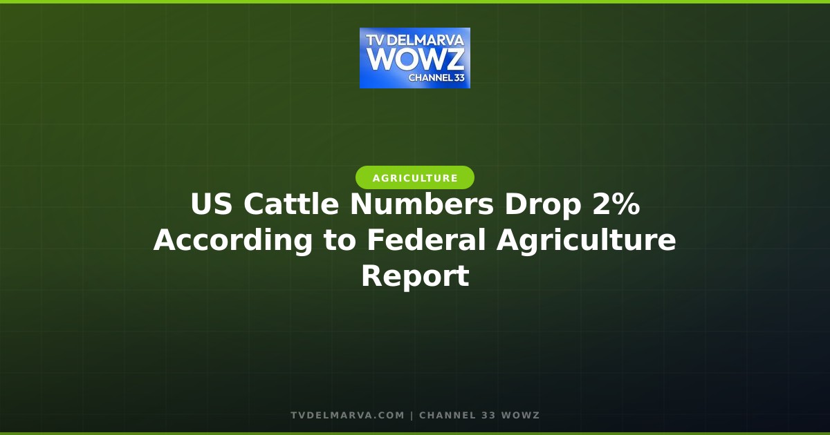 US Cattle Numbers Drop 2% According to Federal Agriculture Report