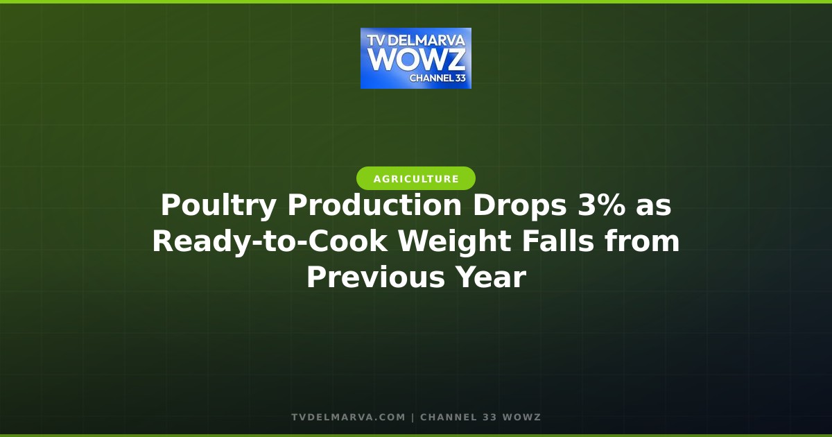 Poultry Production Drops 3% as Ready-to-Cook Weight Falls from Previous Year