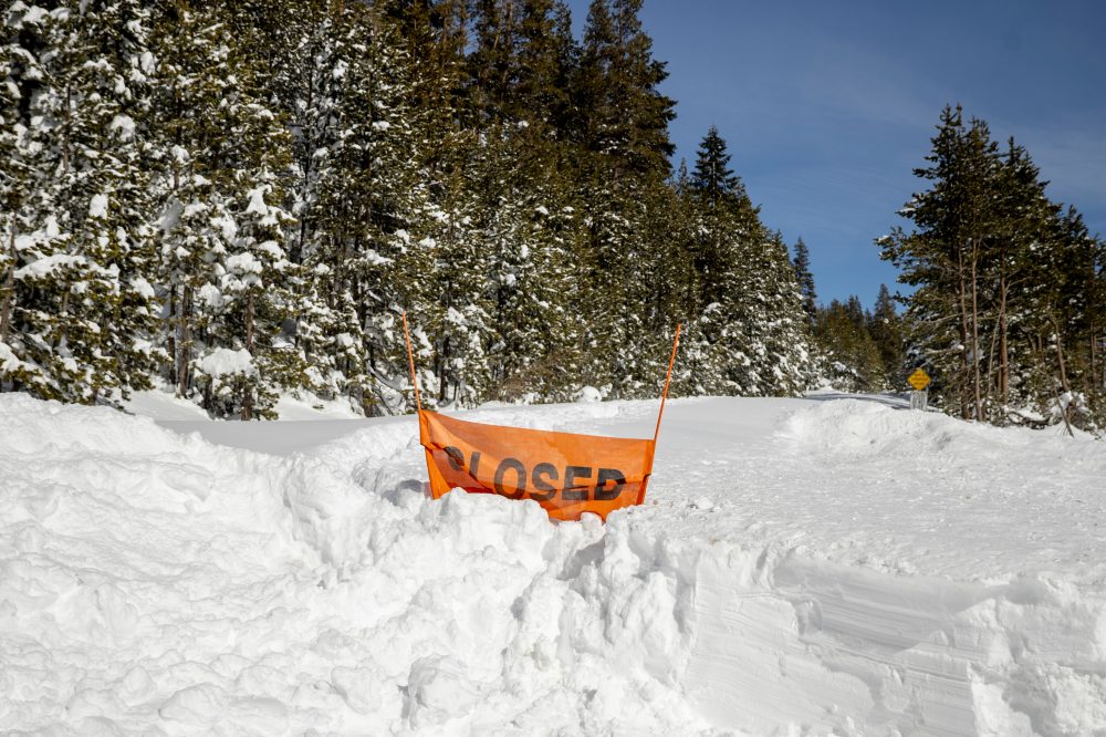 Criminal Investigation Launched Into Fatal California Avalanche That Killed 9