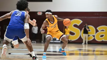 Salisbury University Basketball Crushed by Top-10 Christopher Newport