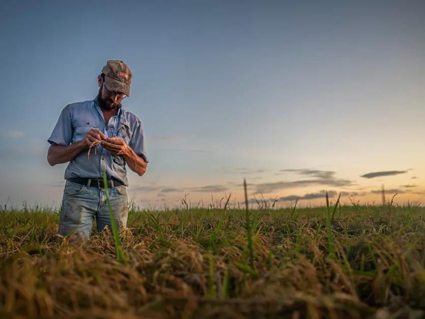 Popular Farm Conservation Program Faces $1B Cut in Republican Bill