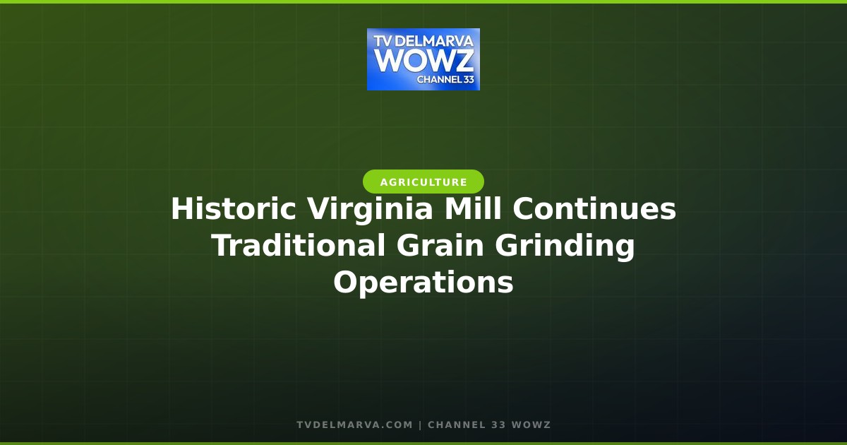Historic Virginia Mill Continues Traditional Grain Grinding Operations