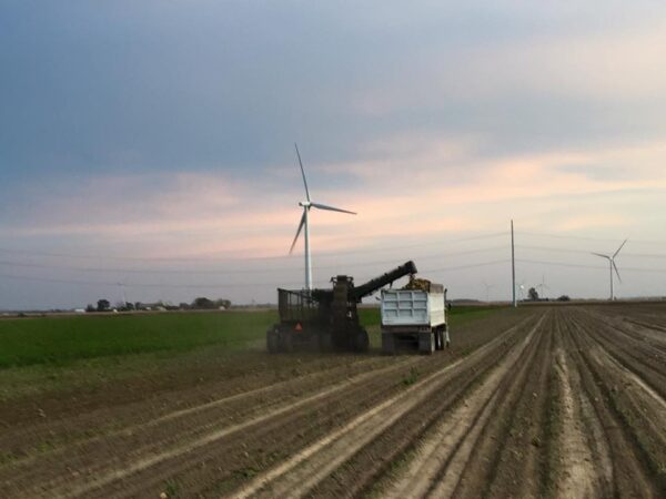 Federal Farm Program Now Accepting Specialty Crop Growers for Bridge Aid