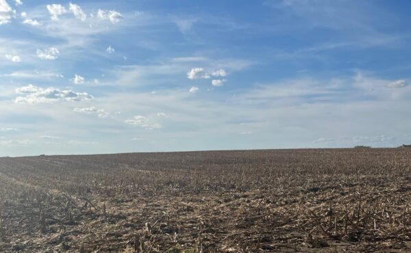Farm Property Values Rising Faster Than Rental Rates, Study Shows
