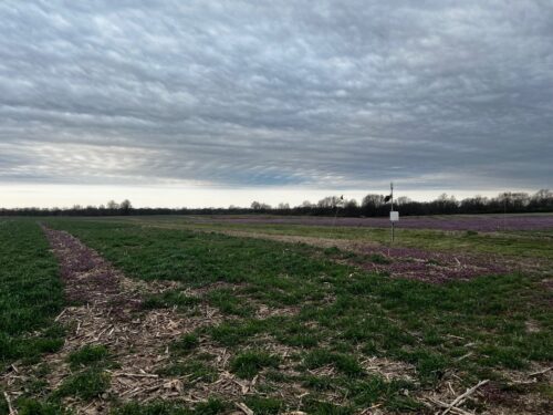 Midwest Farm Bankruptcies Climb, Legal Expert Recommends Financial Planning