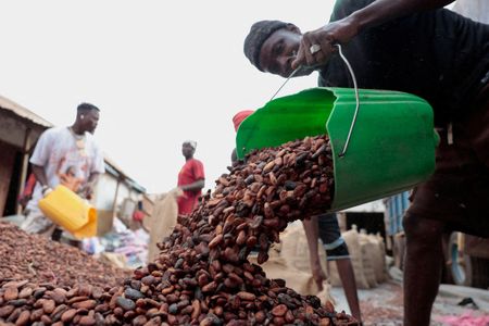 Cocoa Crisis: West African Nations Face Massive Stockpile as Prices Plummet