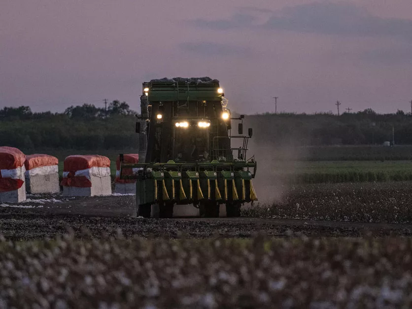 Delaware Farmers Face Tough Times as Cotton, Soybean Markets Struggle